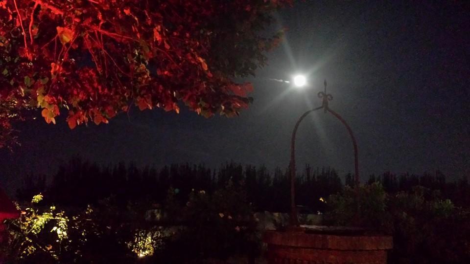 Massa LombardaAgriturismo Ferretti别墅 外观 照片