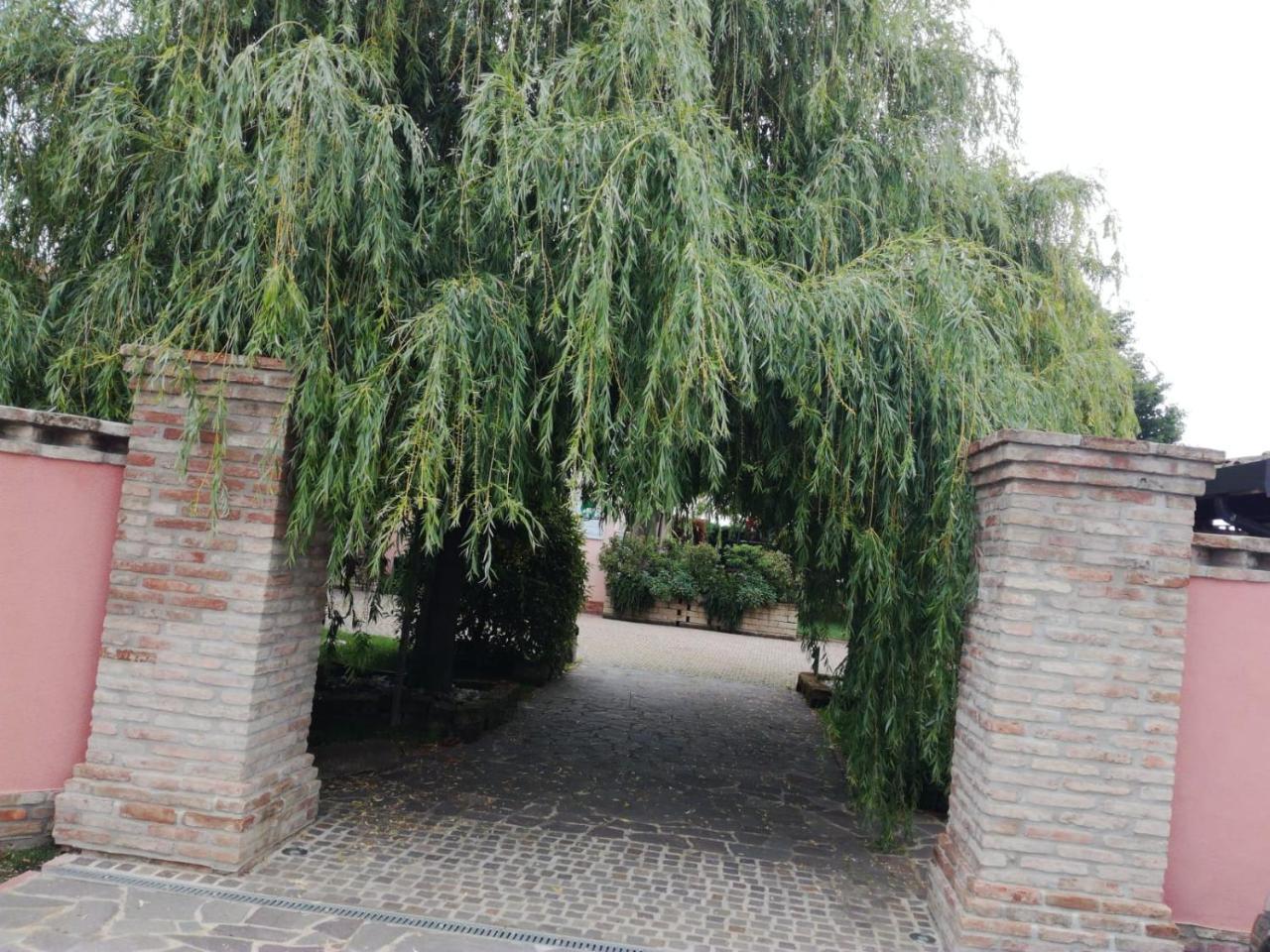 Massa LombardaAgriturismo Ferretti别墅 外观 照片